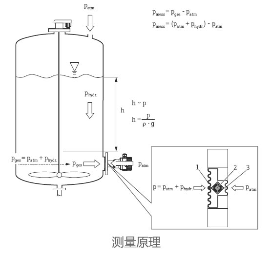 德國E+H – FMB70靜壓式液位開關(guān)/液位計